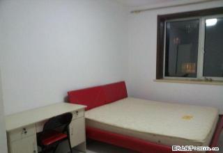 (单间出租)《精致公寓无介绍费》安埠小区附近,4楼,高速宽带,淋浴，宽敞 - 哈尔滨28生活网 hrb.28life.com