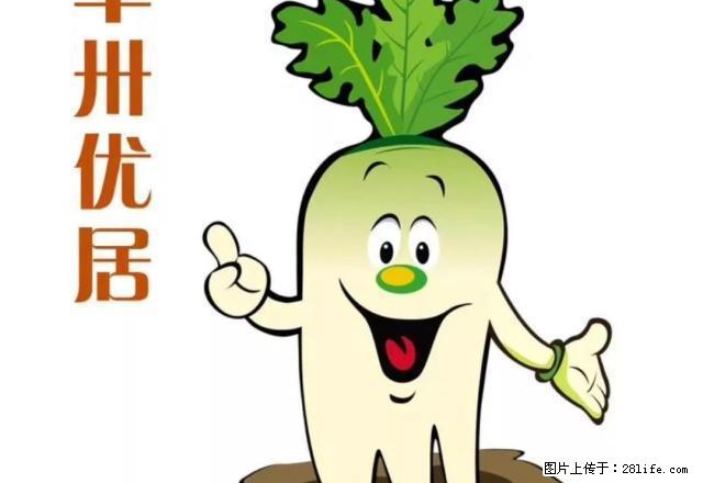 南京路 地恒托斯卡纳 精装修 家电齐全 拎包入住 - 房屋出租 - 房屋租售 - 哈尔滨分类信息 - 哈尔滨28生活网 hrb.28life.com