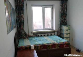 出租工大附近桥南小区使用面积75米三室一厅家具家电齐全 - 哈尔滨28生活网 hrb.28life.com