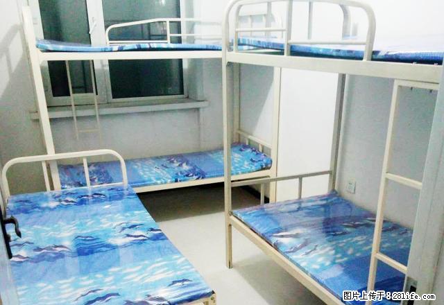 (单间出租)年底促销!房东租男床包水电网!和兴商厦 哈特 高层能洗澡! - 房屋出租 - 房屋租售 - 哈尔滨分类信息 - 哈尔滨28生活网 hrb.28life.com