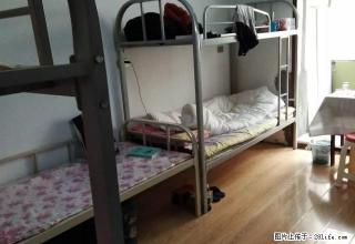 (单间出租)西大直街 西大桥 哈特 通达街地铁口 骨伤科医院 清明七道 - 哈尔滨28生活网 hrb.28life.com