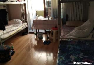 (单间出租)西大直街 西大桥 哈特 通达街地铁口 骨伤科医院 - 哈尔滨28生活网 hrb.28life.com