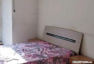 电梯可季度交钱公寓1200家具家电齐全立汇美罗湾一期高层 - 哈尔滨28生活网 hrb.28life.com