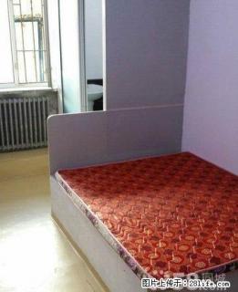 (单间出租)个人5001200一眼即中多套可选欢迎实地考察 - 哈尔滨28生活网 hrb.28life.com