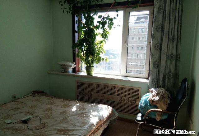 哈西阳光家园两室一厅拎包入住50米随时看房一眼就相中9.16 - 房屋出租 - 房屋租售 - 哈尔滨分类信息 - 哈尔滨28生活网 hrb.28life.com