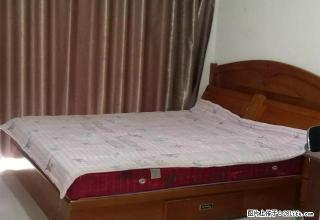 (单间出租)房东出租 西典家园 实体墙 免费WiFi - 哈尔滨28生活网 hrb.28life.com