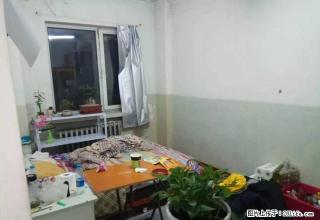 押一付一紧邻珠江路菜艺街一室一厅全套家具家电宽带1100元 - 哈尔滨28生活网 hrb.28life.com