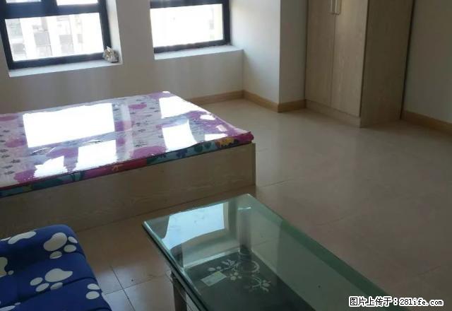 星光耀小区公寓1800元交通便利拎包入住家电齐全环境优雅 - 房屋出租 - 房屋租售 - 哈尔滨分类信息 - 哈尔滨28生活网 hrb.28life.com