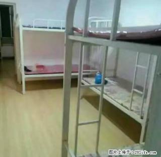 会展中心附近黄河绿园女生床出租200月会展中央公园福斯特干净 - 哈尔滨28生活网 hrb.28life.com