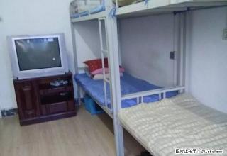 (单间出租)革新街50号的精品寝室出租 - 哈尔滨28生活网 hrb.28life.com