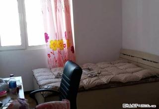 (单间出租)房主出租 没有任何费用 万达 西典 壹品 悦城 - 哈尔滨28生活网 hrb.28life.com