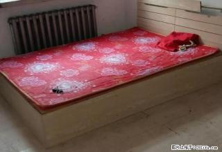 嗷嗷干净一屋一厨700元现房急租。有钥匙。 - 哈尔滨28生活网 hrb.28life.com