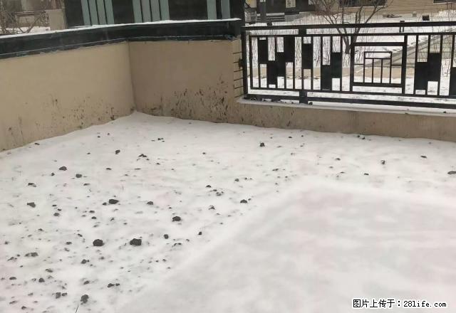 澜悦一楼带花园全新装修品牌家电家具看房方便 - 房屋出租 - 房屋租售 - 哈尔滨分类信息 - 哈尔滨28生活网 hrb.28life.com