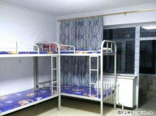 (单间出租)房东特干净实图红旗大街 会展 贺达小区床.位3间4间6间 - 哈尔滨28生活网 hrb.28life.com