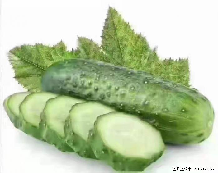【生活小常识】吃黄瓜的好处 - 生活百科 - 哈尔滨生活社区 - 哈尔滨28生活网 hrb.28life.com
