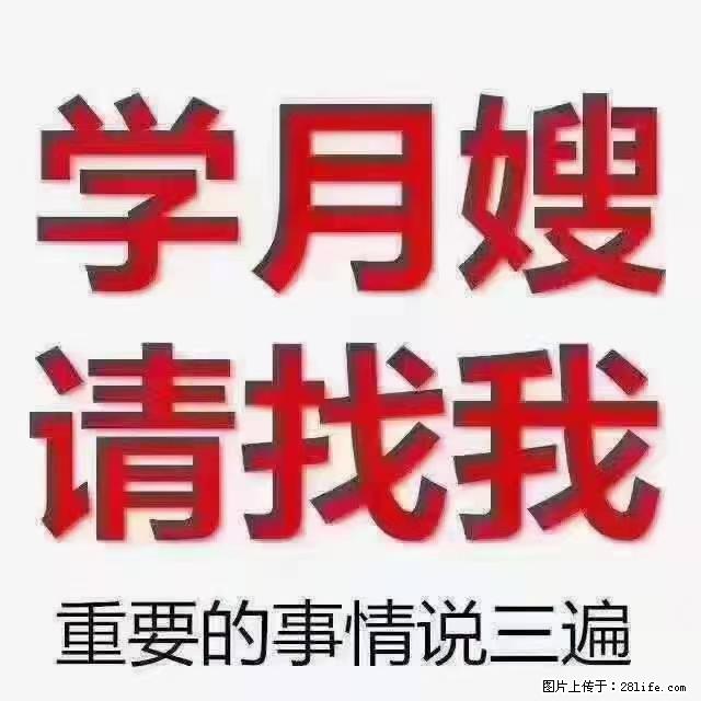 【招聘】月嫂，上海徐汇区 - 职场交流 - 哈尔滨生活社区 - 哈尔滨28生活网 hrb.28life.com