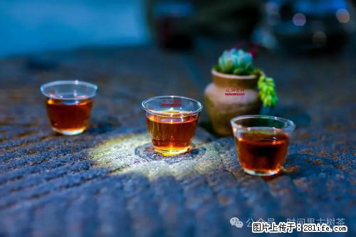 时间果百年古树2025年春红茶 - 购物交流 - 哈尔滨生活社区 - 哈尔滨28生活网 hrb.28life.com