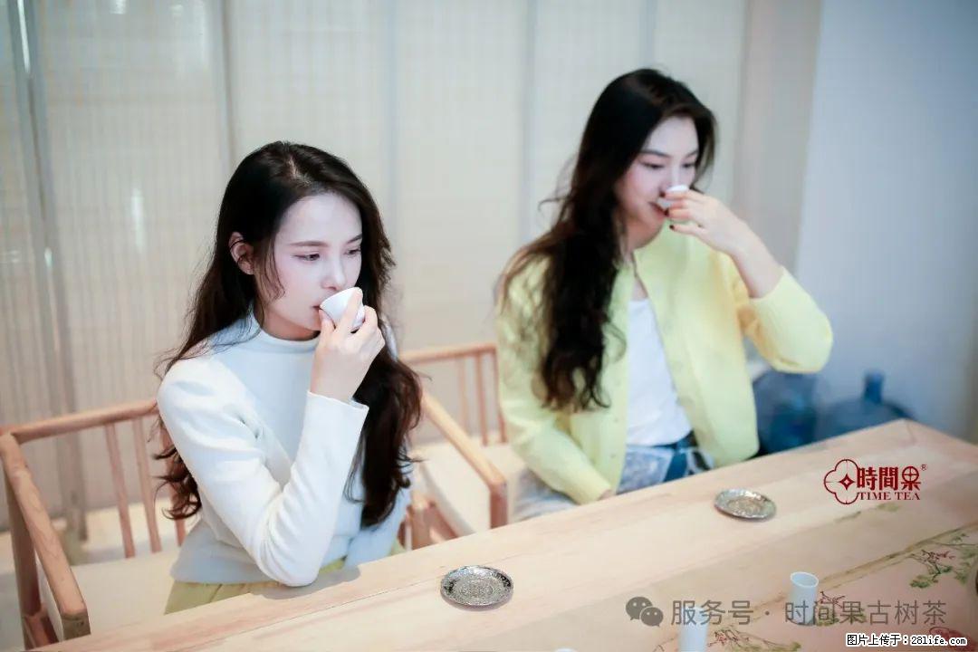 时间果百年古树龙珠普洱生茶 - 购物交流 - 哈尔滨生活社区 - 哈尔滨28生活网 hrb.28life.com