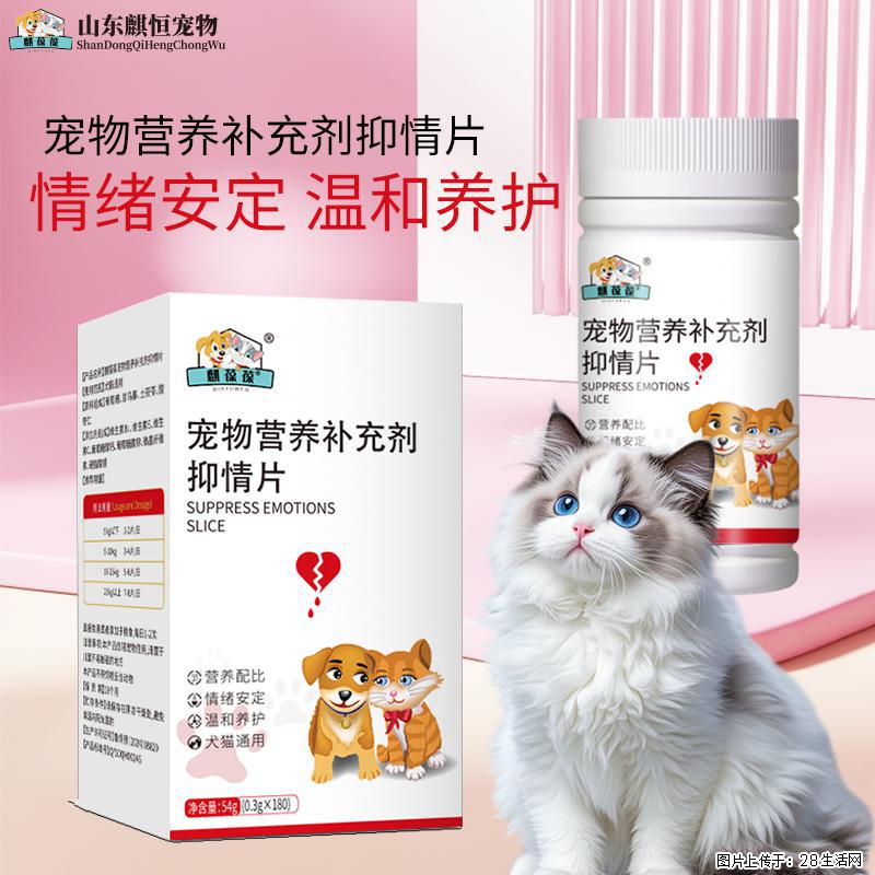 猫狗发情闹得人崩溃？美佳星抑情片，温和安稳度过发情期 - 其它 - 宠物信息 - 哈尔滨分类信息 - 哈尔滨28生活网 hrb.28life.com