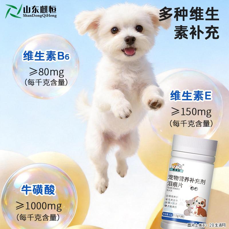 狗子猫咪总挂泪痕太显脏?美佳星泪痕片,内服调理才治本 - 其它 - 宠物信息 - 哈尔滨分类信息 - 哈尔滨28生活网 hrb.28life.com