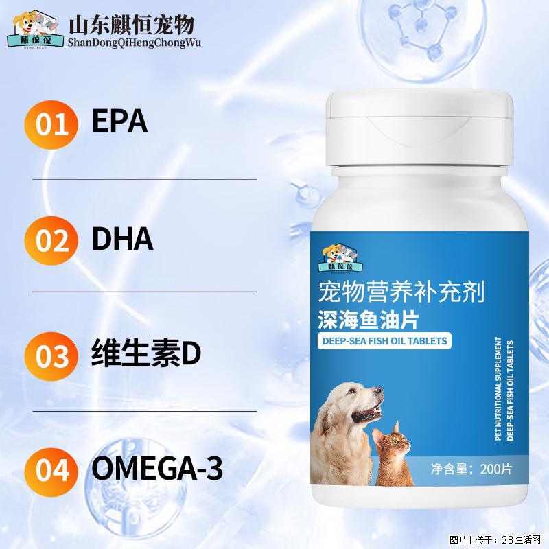 掉毛、皮肤差？一罐美佳星深海鱼油片，把毛孩子的颜值稳稳拿捏 - 其它 - 宠物信息 - 哈尔滨分类信息 - 哈尔滨28生活网 hrb.28life.com