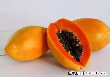 晕车、脚气、牙齿变黄、皮肤粗糙?学会这些三分钟搞定! - 哈尔滨生活资讯 - 哈尔滨28生活网 hrb.28life.com