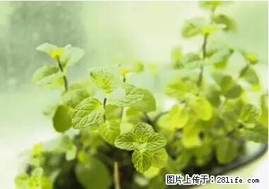 晕车、脚气、牙齿变黄、皮肤粗糙?学会这些三分钟搞定! - 哈尔滨生活资讯 - 哈尔滨28生活网 hrb.28life.com