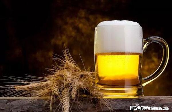 原来它这么毒,然而竟然满大街都是.... - 哈尔滨生活资讯 - 哈尔滨28生活网 hrb.28life.com