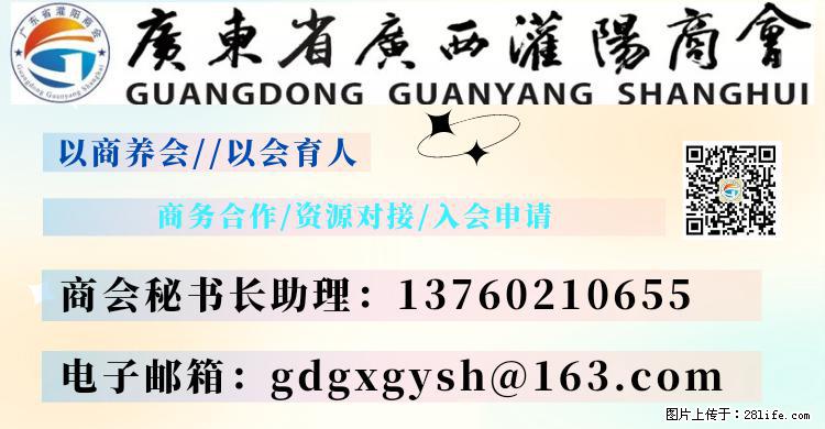 “粤灌文化 美好生活”油茶文化主题活动在广东深圳成功举办 - 哈尔滨生活资讯 - 哈尔滨28生活网 hrb.28life.com