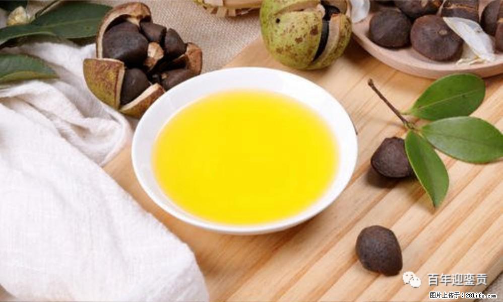 揭秘茶油的5大核心营养成分！被称为人体健康的“守护盾”！ - 哈尔滨生活资讯 - 哈尔滨28生活网 hrb.28life.com