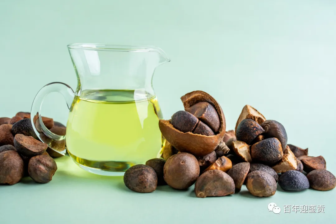 世界没有真相，只有认知，最好的食用油是中国的山茶油！ - 哈尔滨生活资讯 - 哈尔滨28生活网 hrb.28life.com