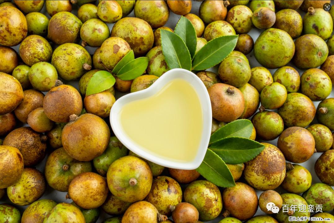 世界没有真相，只有认知，最好的食用油是中国的山茶油！ - 哈尔滨生活资讯 - 哈尔滨28生活网 hrb.28life.com