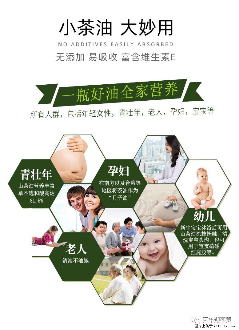 世界没有真相，只有认知，最好的食用油是中国的山茶油！ - 哈尔滨生活资讯 - 哈尔滨28生活网 hrb.28life.com