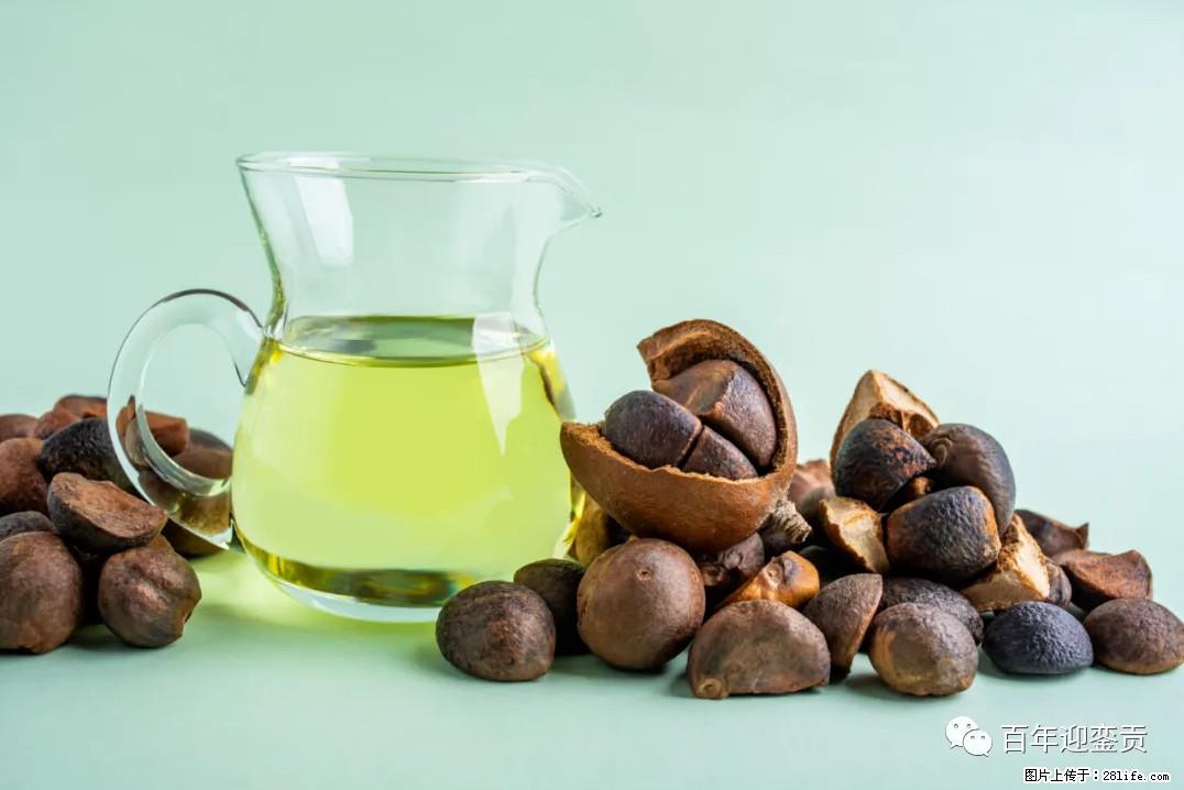 世界没有真相，只有认知，最好的食用油是中国的山茶油！ - 哈尔滨生活资讯 - 哈尔滨28生活网 hrb.28life.com