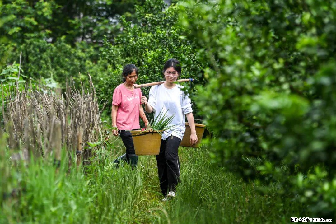 全网追的“扁担女孩”,找了一份暑假工,时薪12元 - 哈尔滨生活资讯 - 哈尔滨28生活网 hrb.28life.com