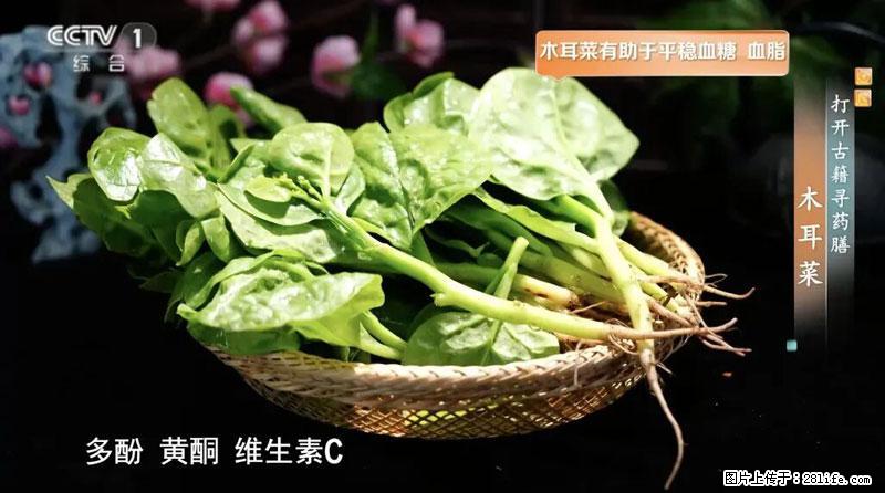比牛奶补钙还厉害!凉血解毒、稳血糖...这菜冬天必吃,很多人却当草 - 哈尔滨生活资讯 - 哈尔滨28生活网 hrb.28life.com
