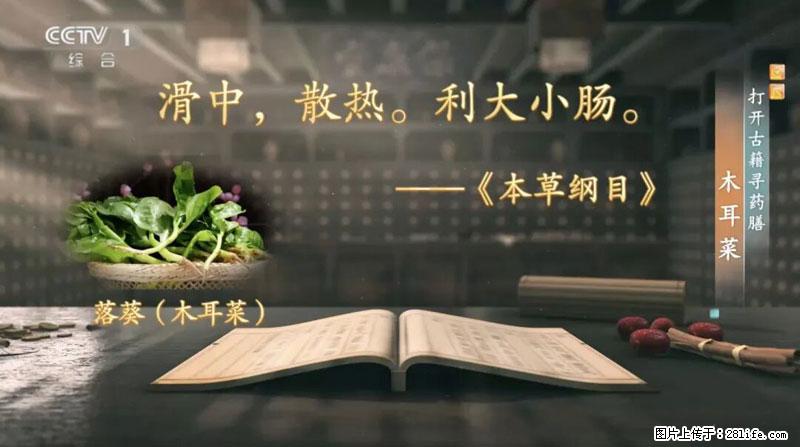 比牛奶补钙还厉害!凉血解毒、稳血糖...这菜冬天必吃,很多人却当草 - 哈尔滨生活资讯 - 哈尔滨28生活网 hrb.28life.com