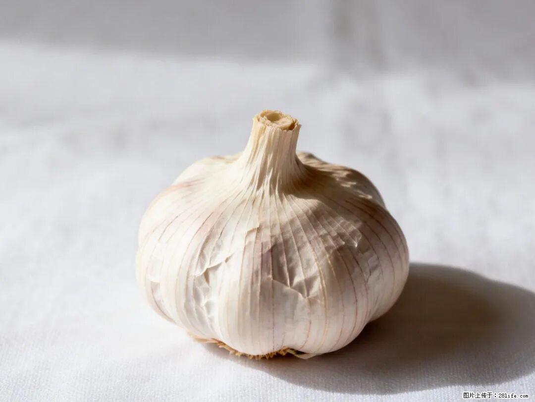 关于大蒜，除了“天然抗生素”，这4个谣言更该警惕! - 哈尔滨生活资讯 - 哈尔滨28生活网 hrb.28life.com