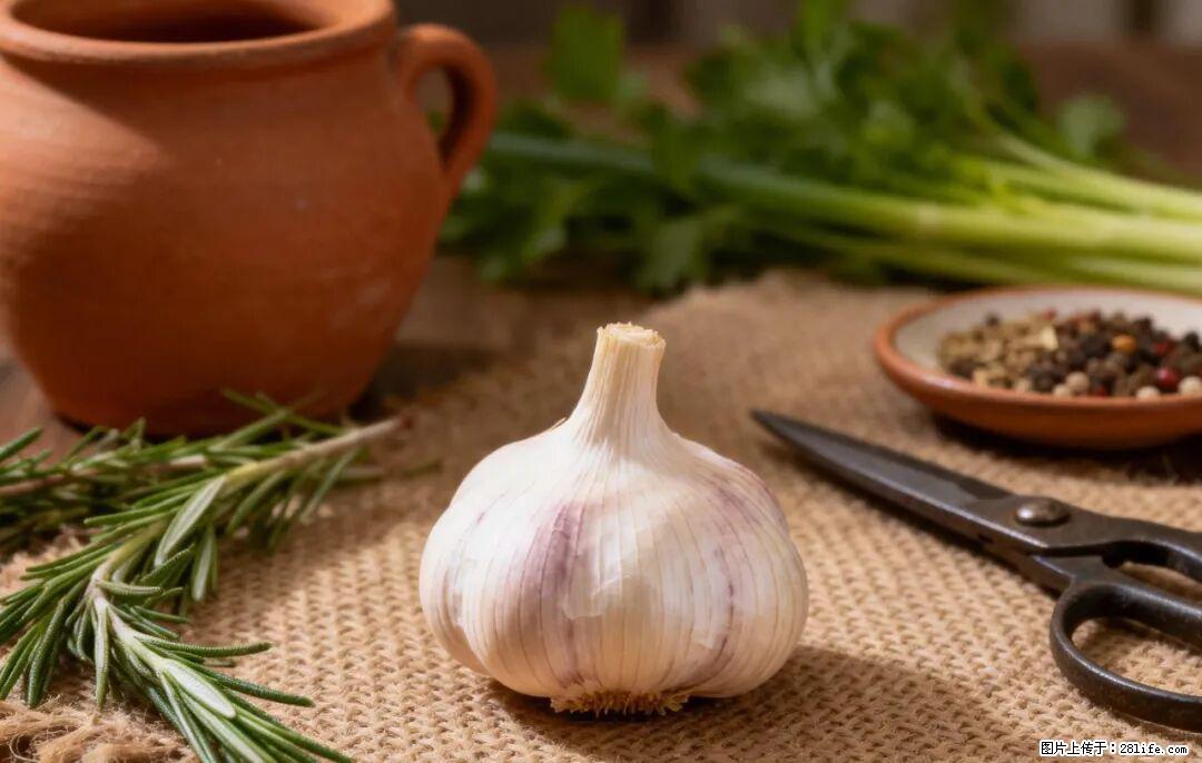 关于大蒜，除了“天然抗生素”，这4个谣言更该警惕! - 哈尔滨生活资讯 - 哈尔滨28生活网 hrb.28life.com