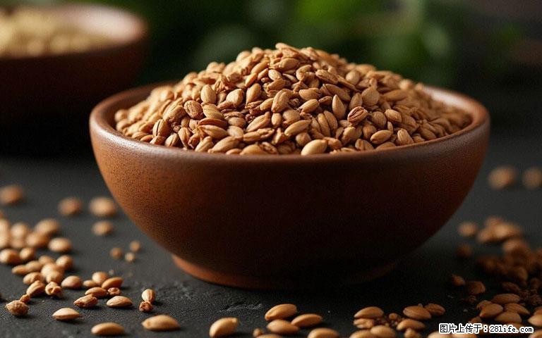 这三苦是三高“克星”，心血管干净不易堵！每天吃一点，指标慢慢降下来~ - 哈尔滨生活资讯 - 哈尔滨28生活网 hrb.28life.com