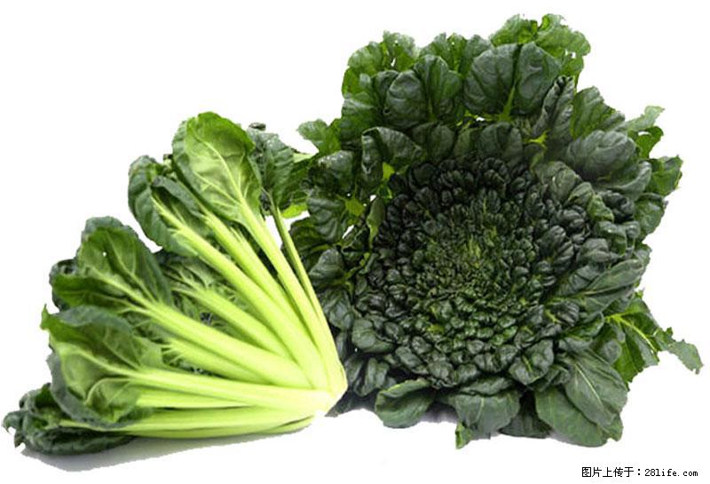 这些蔬菜是“天然钙片”，这6种被医生重点推荐 - 哈尔滨生活资讯 - 哈尔滨28生活网 hrb.28life.com
