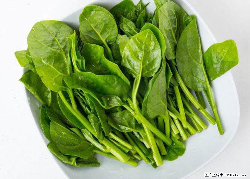 这些蔬菜是“天然钙片”，这6种被医生重点推荐 - 哈尔滨生活资讯 - 哈尔滨28生活网 hrb.28life.com