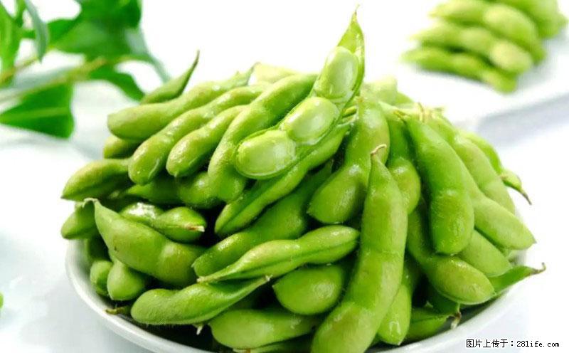 这些蔬菜是“天然钙片”，这6种被医生重点推荐 - 哈尔滨生活资讯 - 哈尔滨28生活网 hrb.28life.com