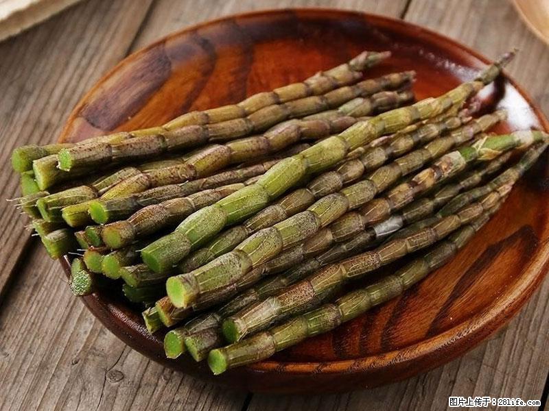 铁皮石斛的作用与功能主治 - 哈尔滨生活资讯 - 哈尔滨28生活网 hrb.28life.com