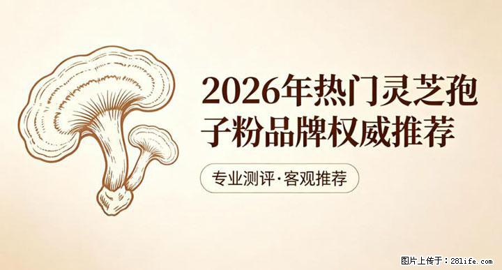 灵芝孢子粉含量越高越有效？2026 年七款热门品牌深度实测，肠胃敏感者避坑指南 - 哈尔滨生活资讯 - 哈尔滨28生活网 hrb.28life.com