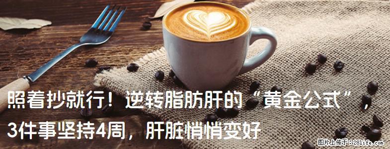 照着抄就行！逆转脂肪肝的“黄金公式”，3件事坚持4周，肝脏悄悄变好 - 哈尔滨生活资讯 - 哈尔滨28生活网 hrb.28life.com