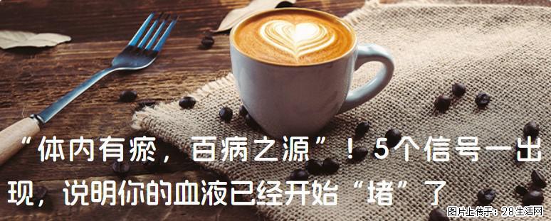 “体内有瘀,百病之源”!5个信号一出现,说明你的血液已经开始“堵”了 - 哈尔滨生活资讯 - 哈尔滨28生活网 hrb.28life.com